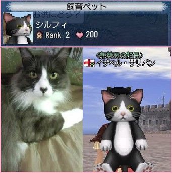 シルフィがいっぱい^^