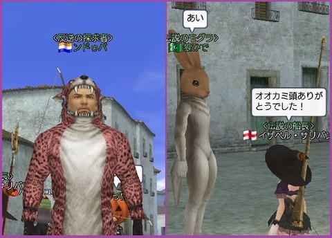 提供~^^