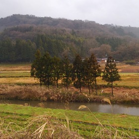 川合町