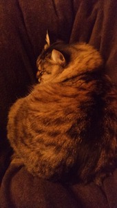 �����