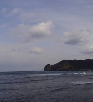 海