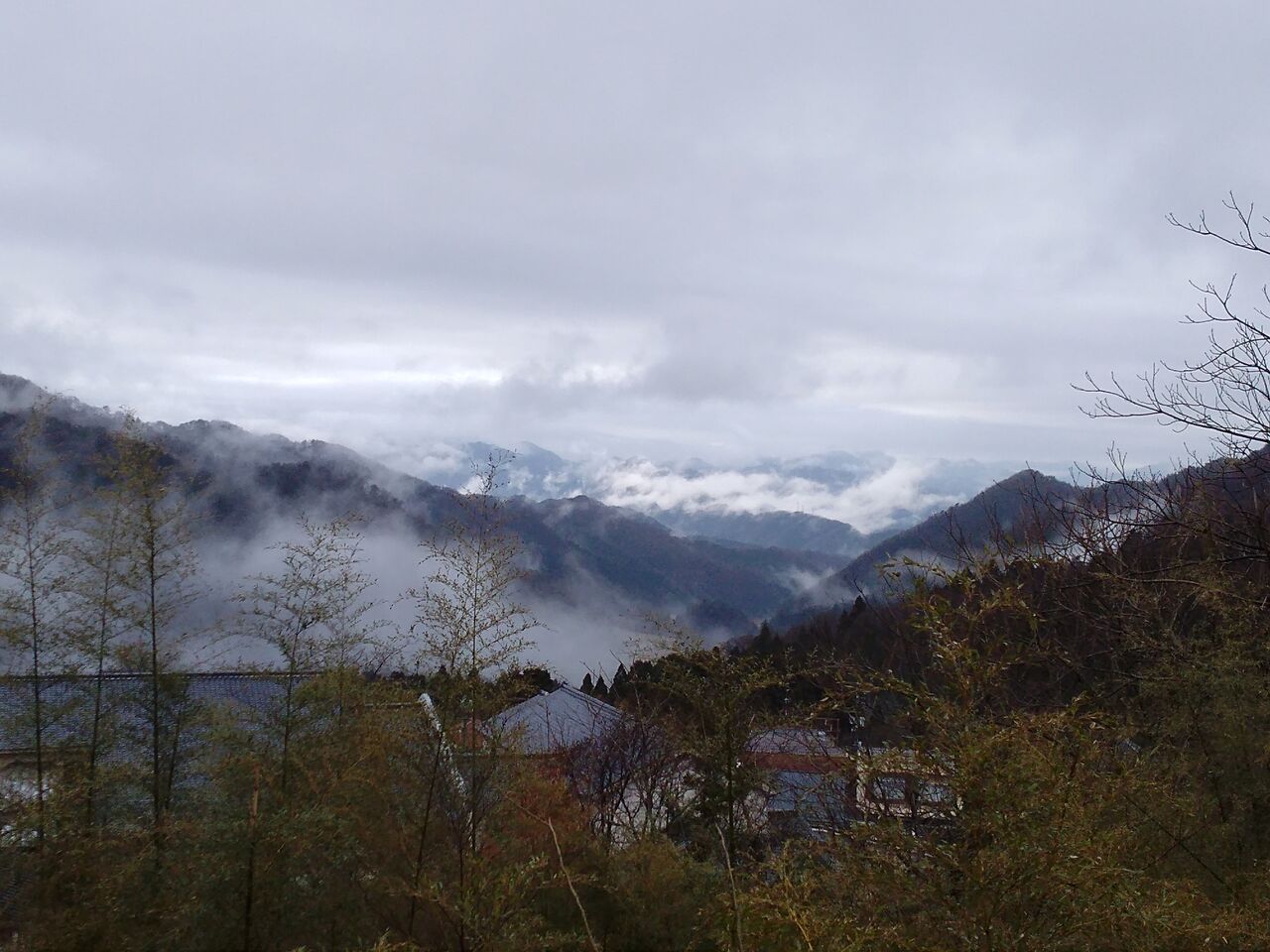 IMG_20200123_095202