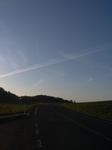 ¤Ò¤³¤¦¤¤°¤â