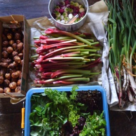 野菜仕入れ