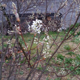 ���塼��٥꡼