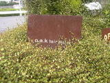 oak´ÇÈÄ