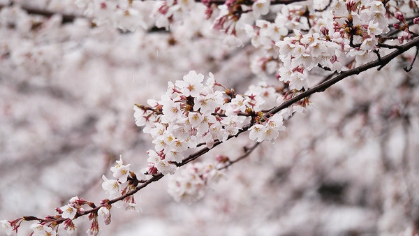 �����������κ�