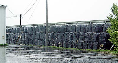 ¥¯¥ê¥Ã¥¯¤¹¤ë¤ÈÂ礤ʼ̿¿¤Ë¤Ê¤ê¤Þ¤¹¡£