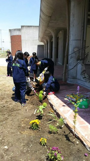 旧大川小学校の清掃作業