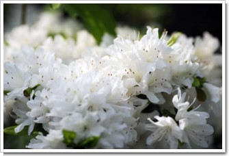 Photo by (c)Tomo.Yun