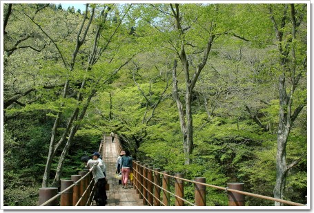 花貫渓谷(高萩市) 花貫渓谷(高萩市)