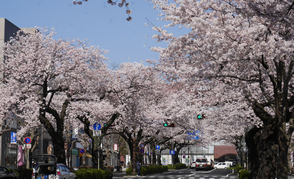 ʿ���̤�Τ�����