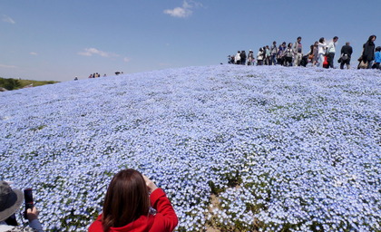 1-130428��ĤҤ������͸����ͥ�ե����0146