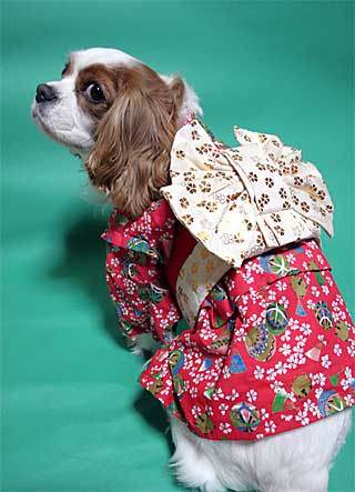 061228¸«ÊÖ¤êÈþ¿Í