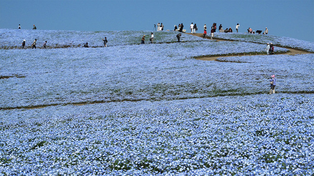 ��������ǯ�Υͥ�ե���