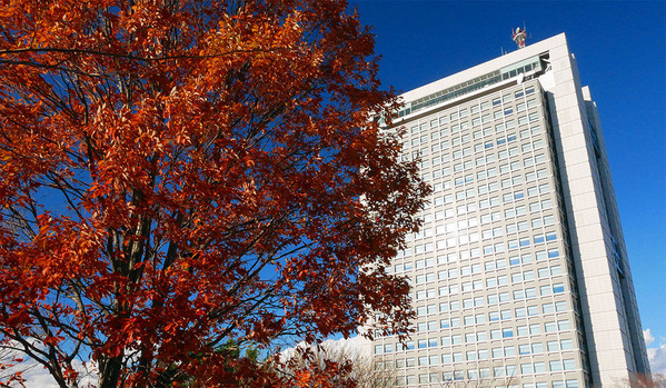 ¸©Ä£¤È¹ÈÍÕ