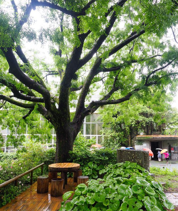 牧野植物園