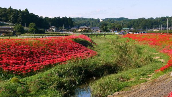 ��Φ������߲�