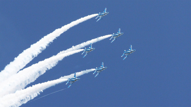 ɴΤ���ϤǤΥ֥롼����ѥ륹