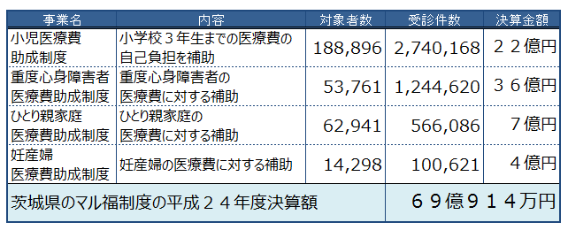 平成24年度マル福関連決算状況