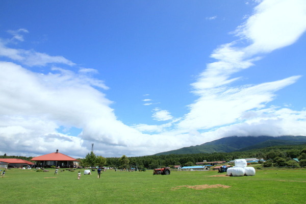 Ĺ���Ҿ��Ĺ���