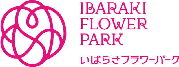 ¤¤¤Ð¤é¤¥Õ¥é¥ï¡¼¥Ñ¡¼¥¯