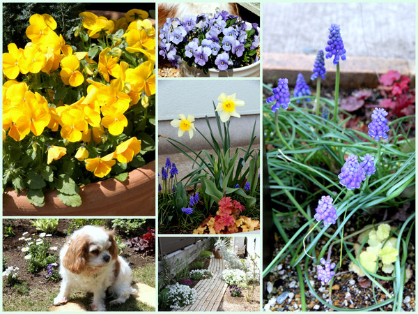 �椬�Ȥ���