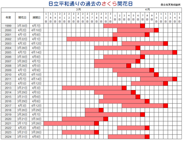 240422sakuranoakaika