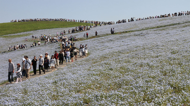 ��������ǯ�Υͥ�ե���