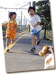 031116ohhashi_hashiru
