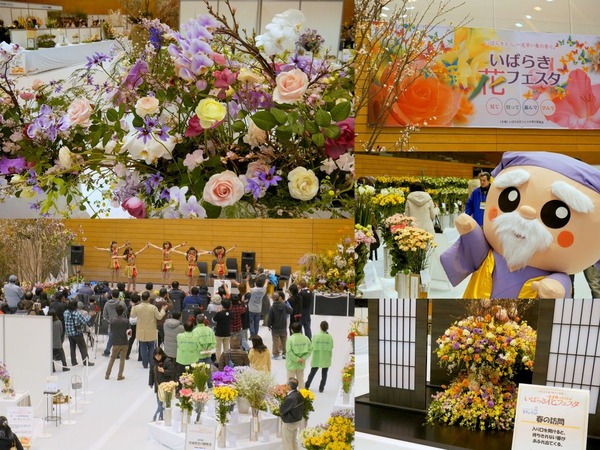 ���Ф餭�֥ե�������������