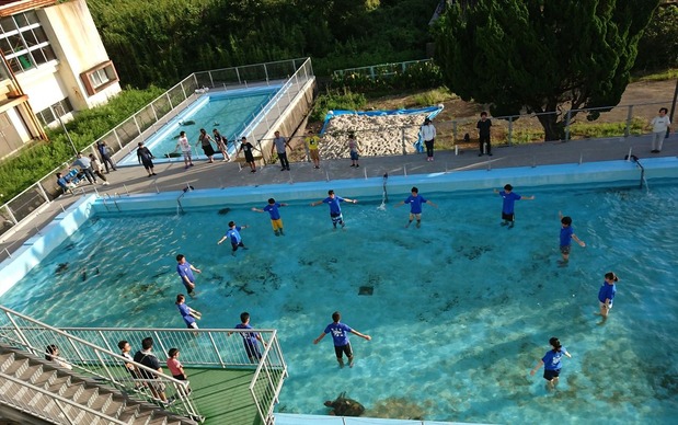 サメたちが泳ぐプール