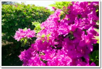 Photo by (c)Tomo.Yun