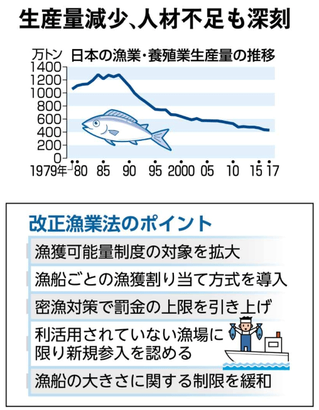 漁業法改正