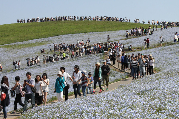 ��ĤҤ������͸����ͥ�ե����004-001