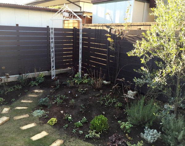 �����ǥ˥�