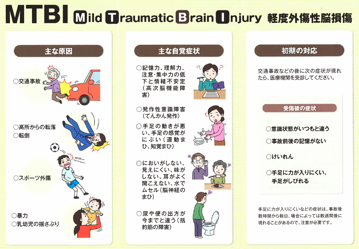 脳死とは 日本臓器移植ネットワーク