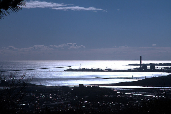 ����������쳤�裲��ȯ��˾��