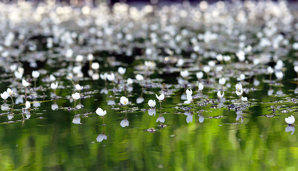 ��������ع��ˤ�