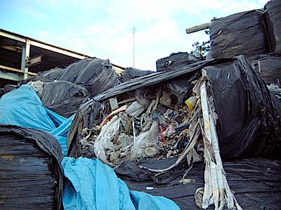 ¥¯¥ê¥Ã¥¯¤¹¤ë¤ÈÂ礤ʼ̿¿¤Ë¤Ê¤ê¤Þ¤¹¡£