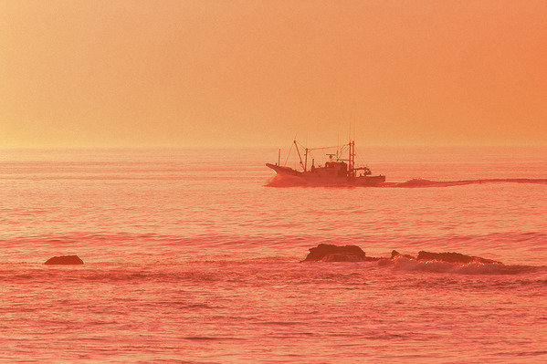 ��Ω�Բ���Į��ͼ����ͼ��