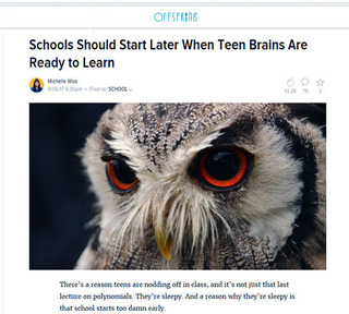 Image: Stuart Monk/Shutterstock.com