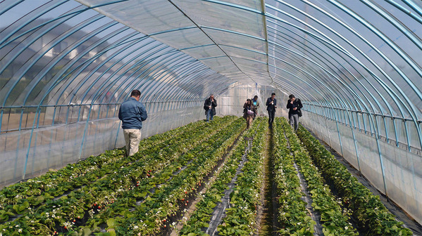 ������������