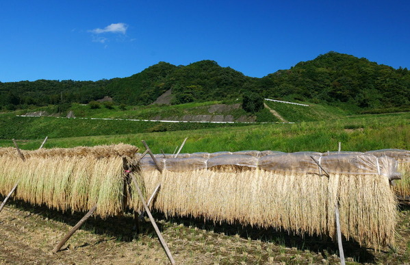 ��Φ���ĻԾ�ʿ�϶�