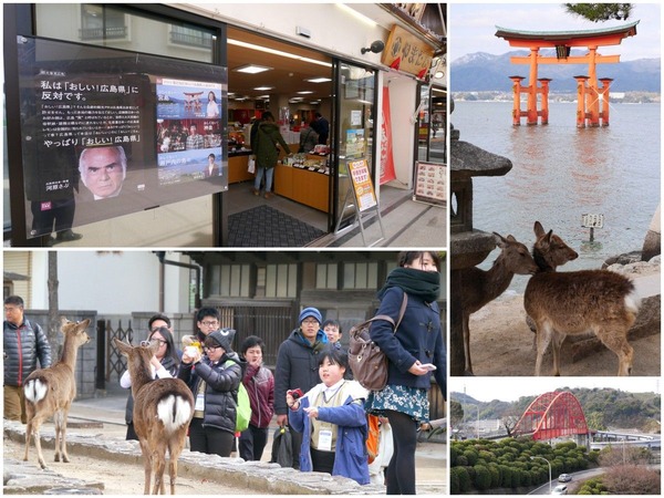 �·ݤε��硢���ͥ�����