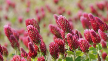 �����󥲥ե����ƥ��Х�