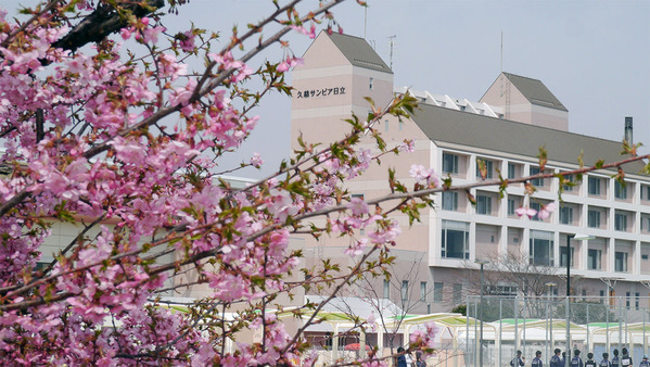 川津桜と久慈サンピアひたち
