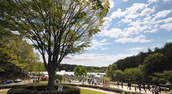 陶炎祭2015