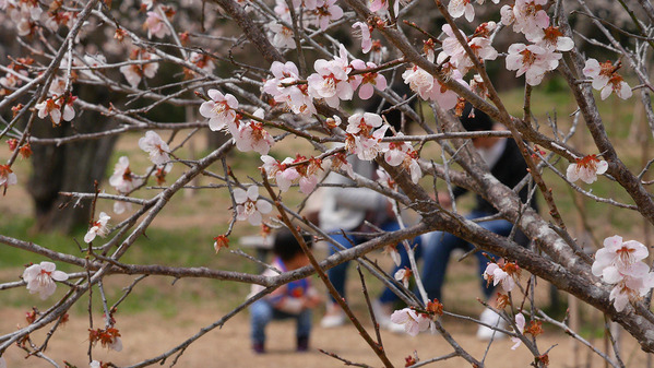 ��ˬ����