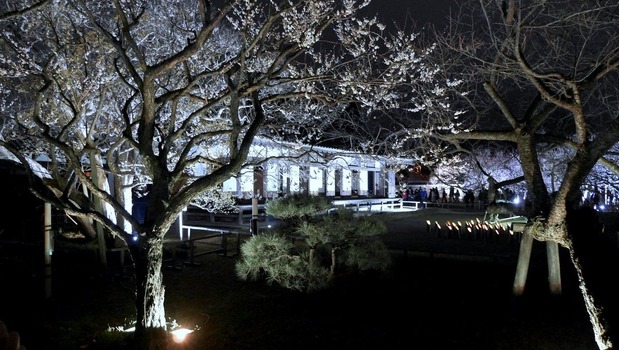 ��͹�ƻ�����ߤޤĤ�